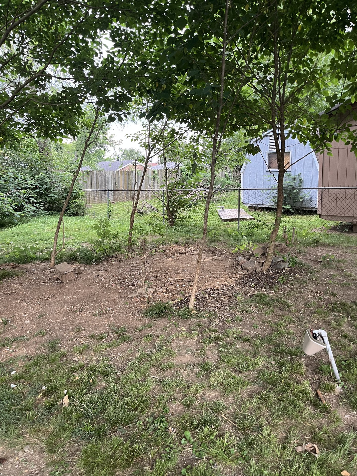 Cleared backyard after junk was hauled away