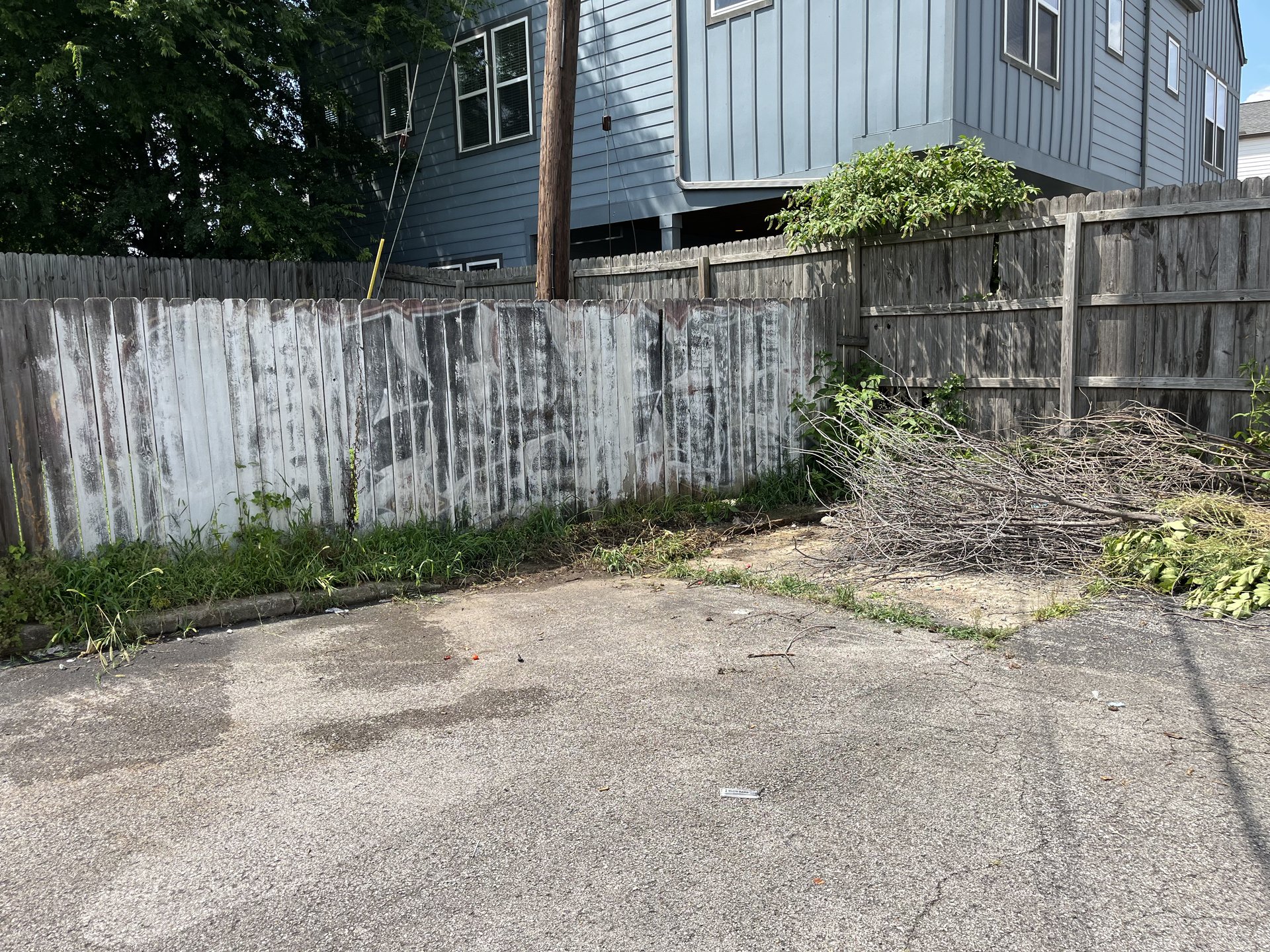 Yard waste and branches ready for removal